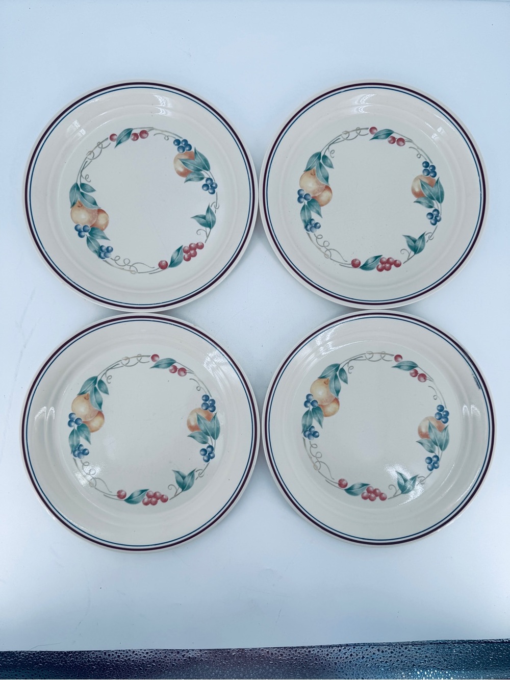 Corelle by Corning Set of 4 Abundance 10 1/4” Dinner Plates Made in USA